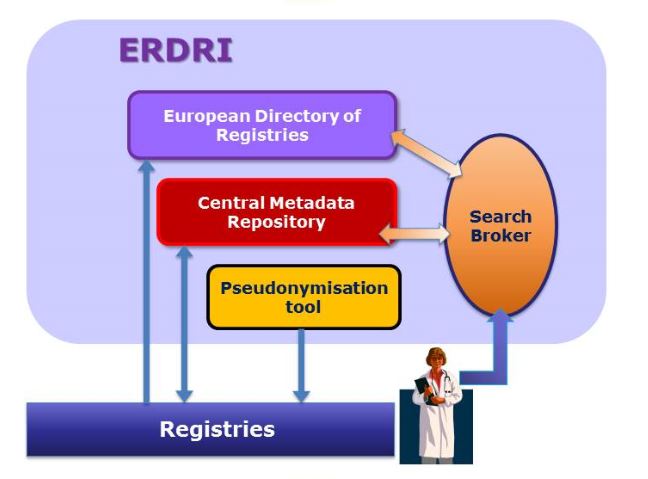 ERDRI tools schema